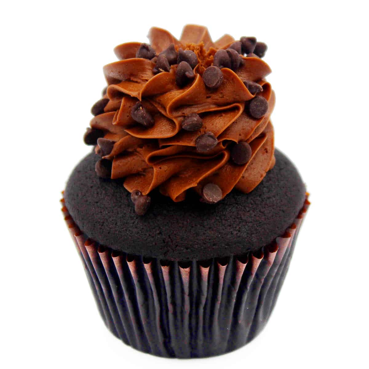 Double Chocolate Cupcake